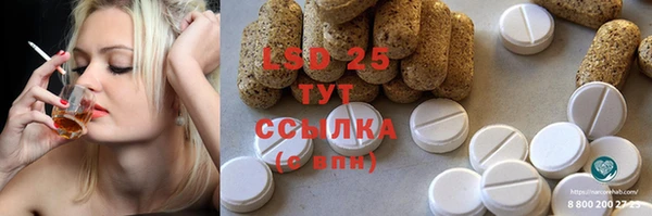 стаф Алзамай