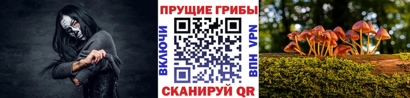 Галлюциногенные грибы мицелий Цимлянск